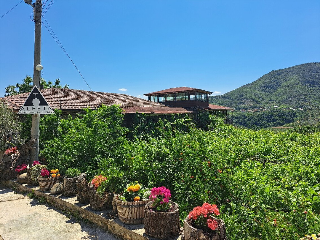 Alpeta Agrotourism & Winery景点图片