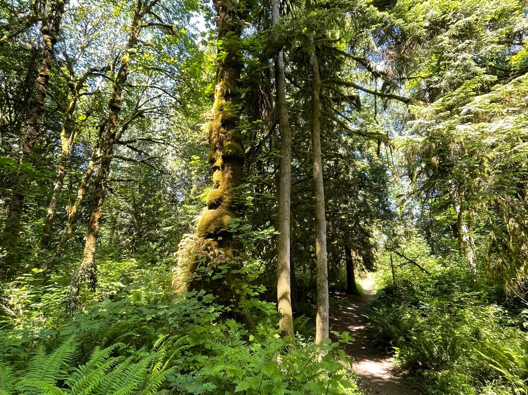 Evans Creek Preserve-雷德蒙德必去景点