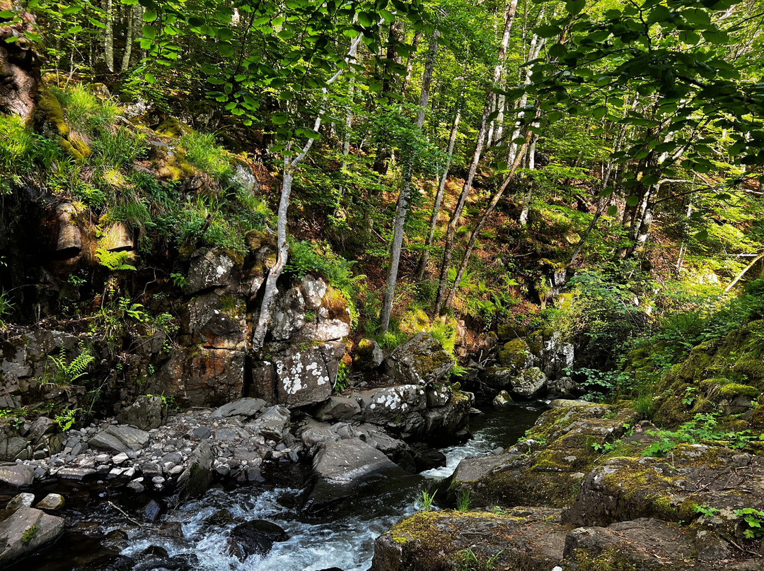 Cascades des Touzes-Saint-Chely-d'Aubrac必去景点