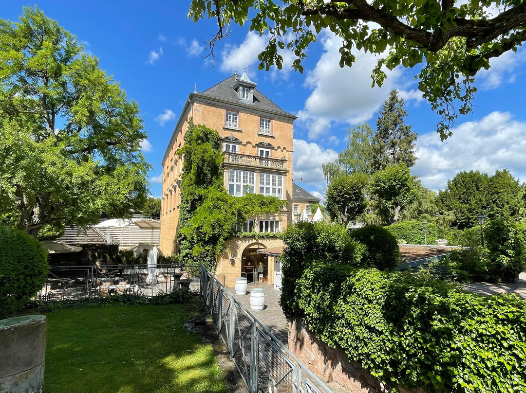 Hotel Schloss Edesheim主图