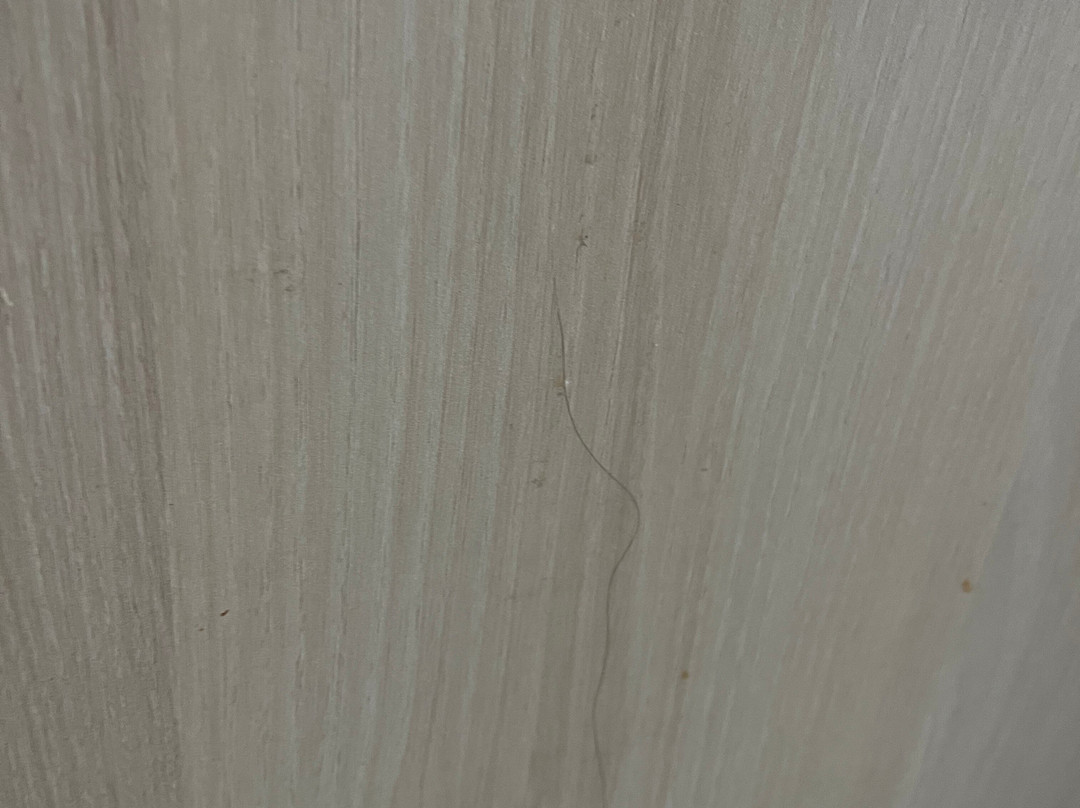 EC School-圣朱利安斯必去景点