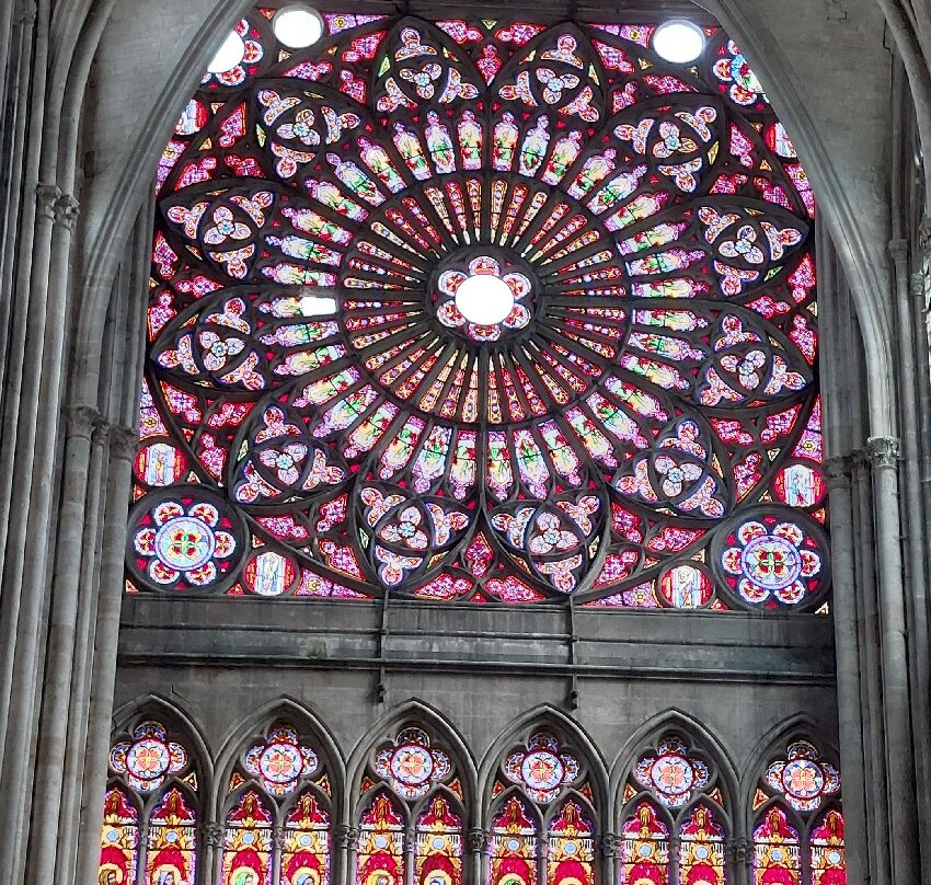 Cathédrale Saint-Pierre-et-Saint-Paul景点图片