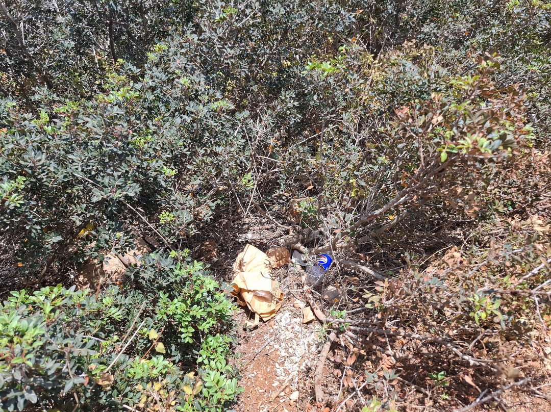 Pykni Picnic Site-卡西卡斯必去景点