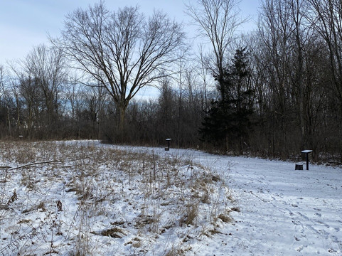 Ley Street Park-Avilla必去景点