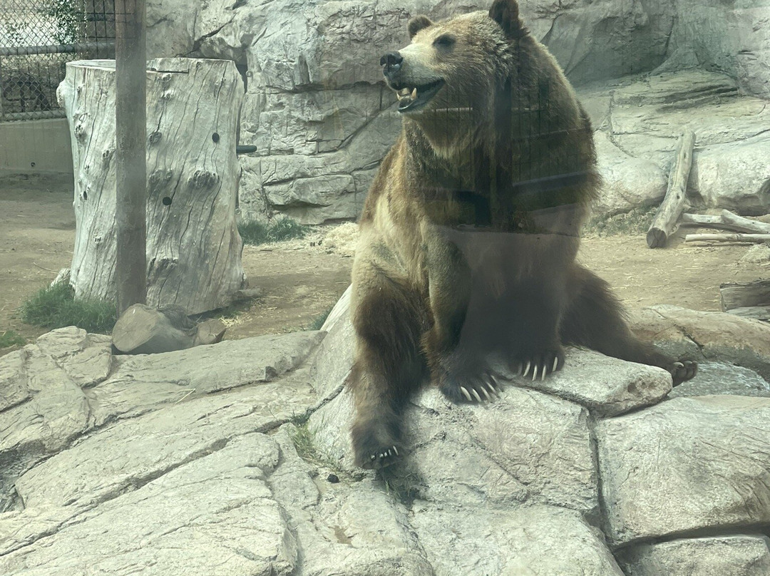 Reid Park Zoo-图森必去景点