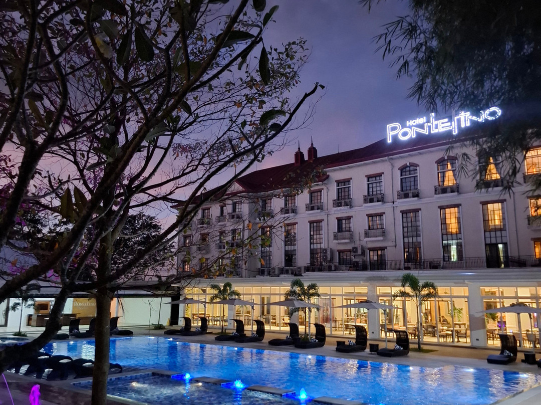 庞特菲诺酒店主图