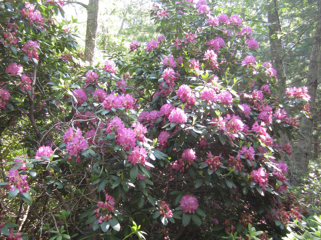 Armstrong-Kelley Park-Osterville必去景点