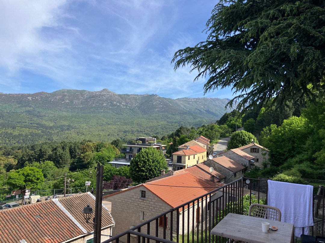 Hotel la Terrasse主图