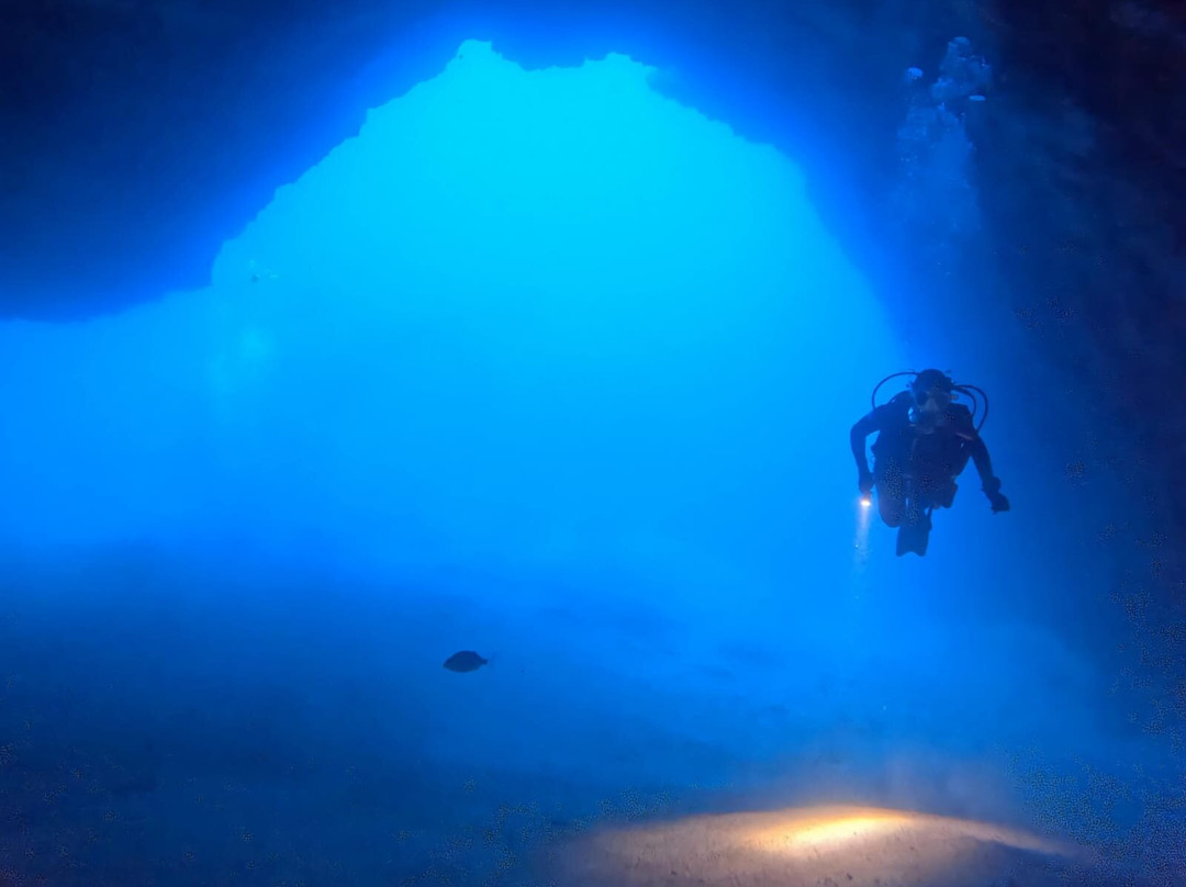 Atlantis Diving Lanzarote景点图片