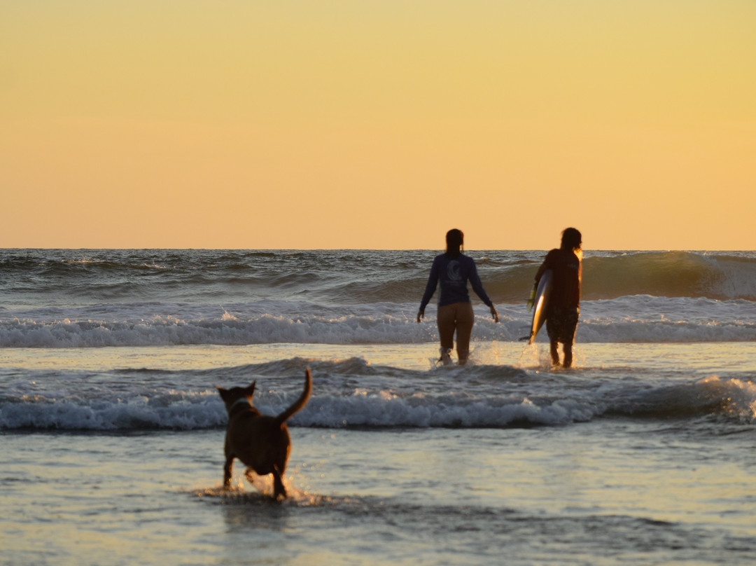 The Surfing Tribe-Brisas de Zicatela必去景点