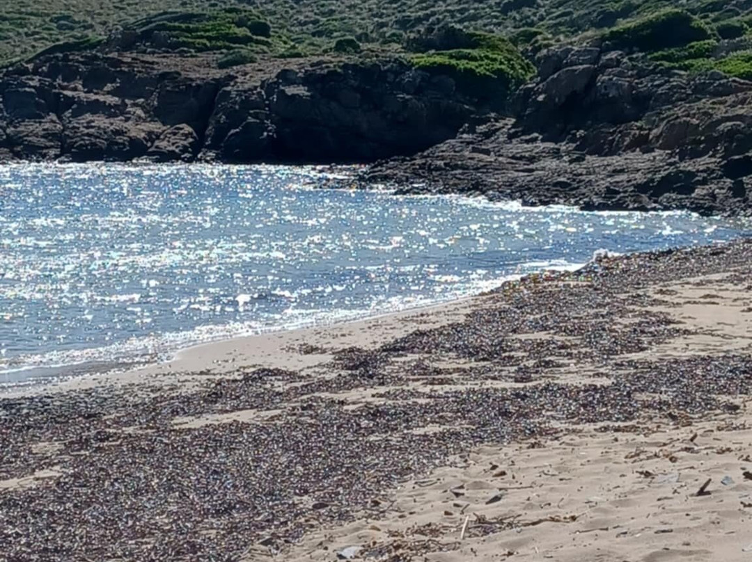 Cala Tamarells Des Sud-Es Grau必去景点