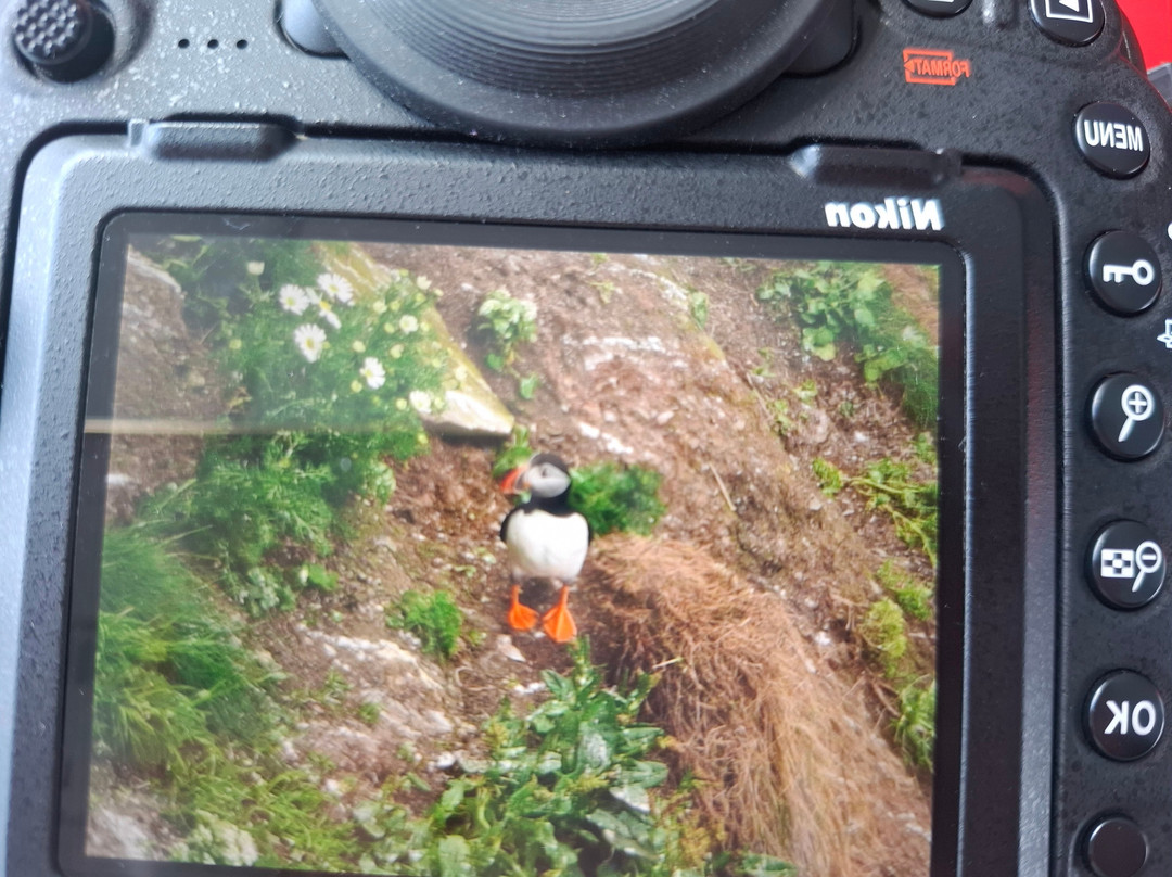 RSPB Rathlin West Light Seabird Centre-Rathlin Island必去景点