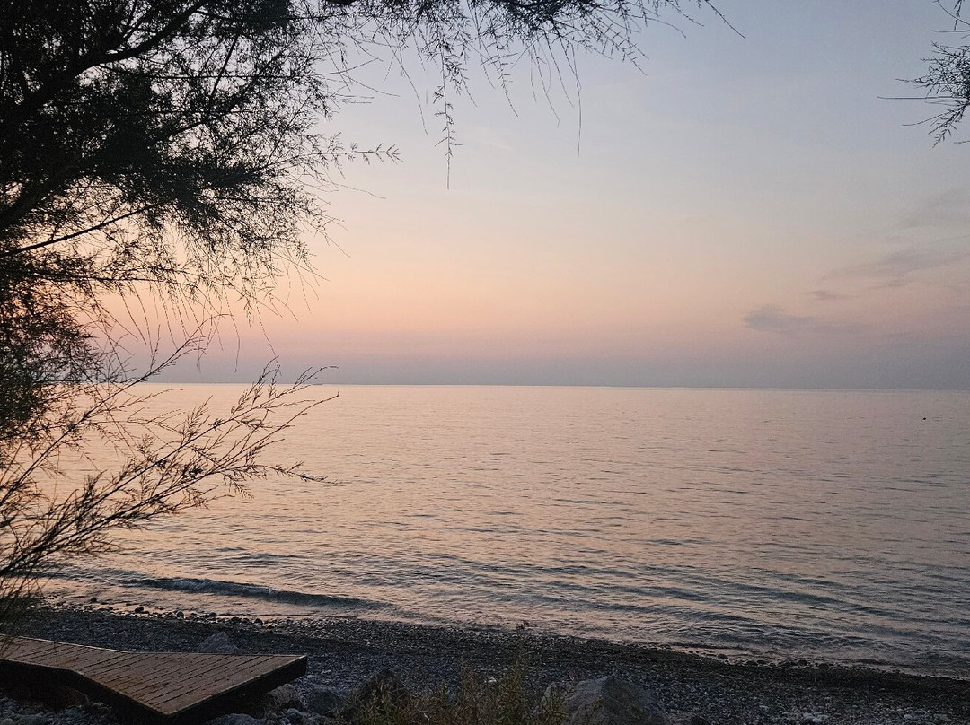 Chelonia - Watersports-Isola Delle Femmine必去景点