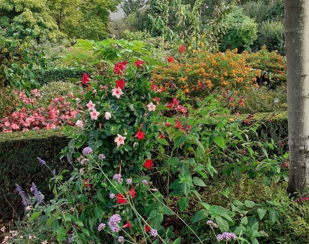 Parc de l'Arboretum-昂热必去景点