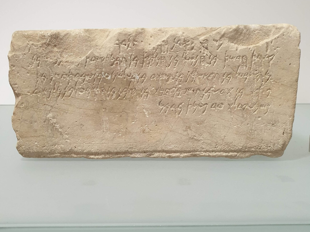Museo Archeologico Di Olbia-奥尔比亚必去景点