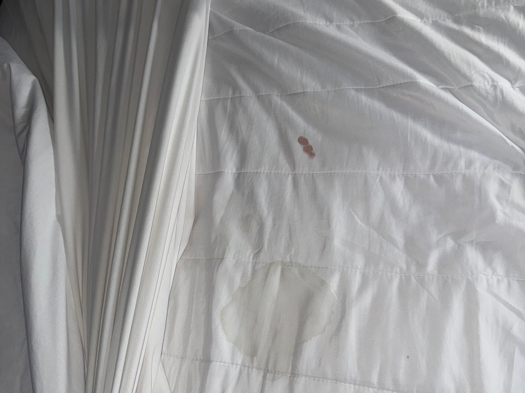 AmericInn by Wyndham Wausau主图