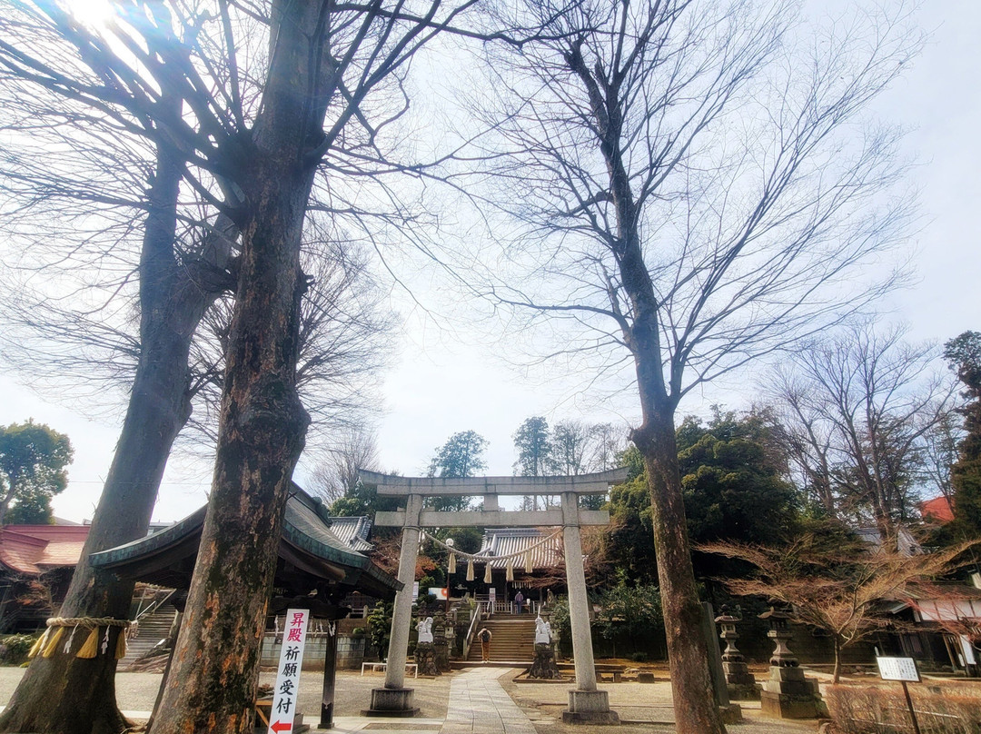 Takinomiya Shrine-深谷市必去景点