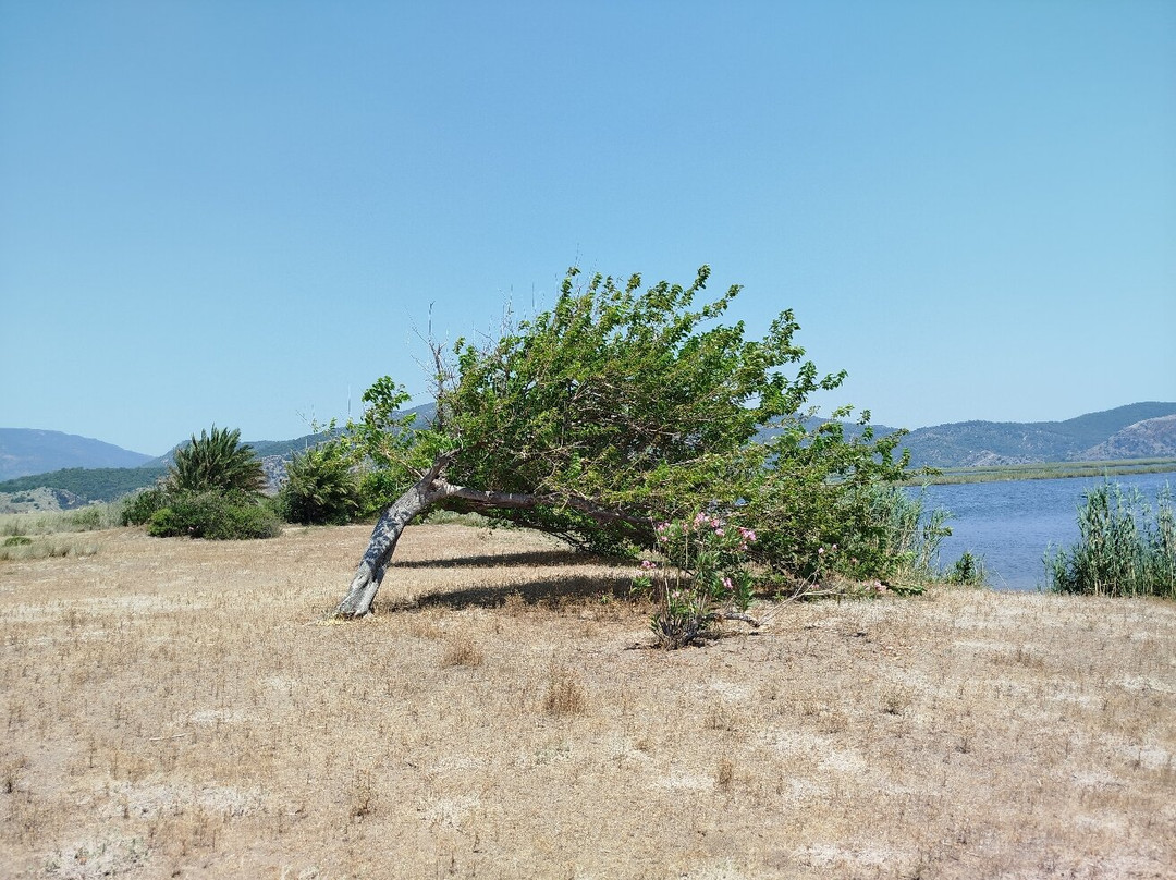 Kingfisher 1 Boat Tours-穆拉必去景点