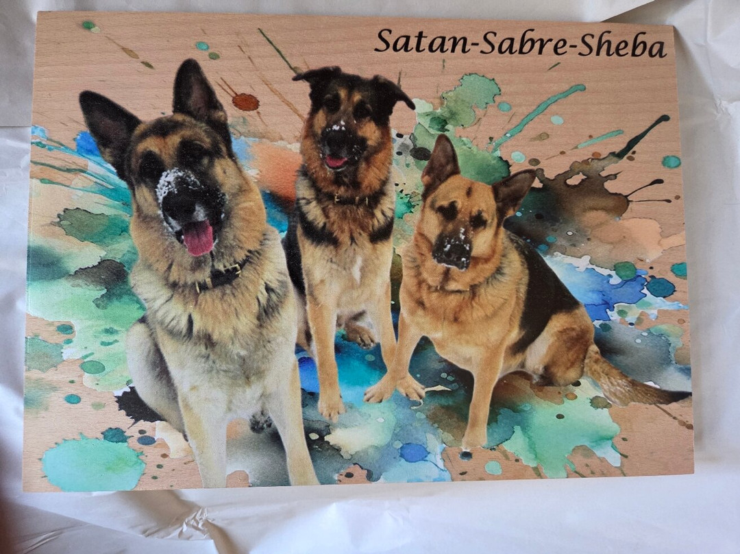 Neldi Art Gallery-帕福斯必去景点