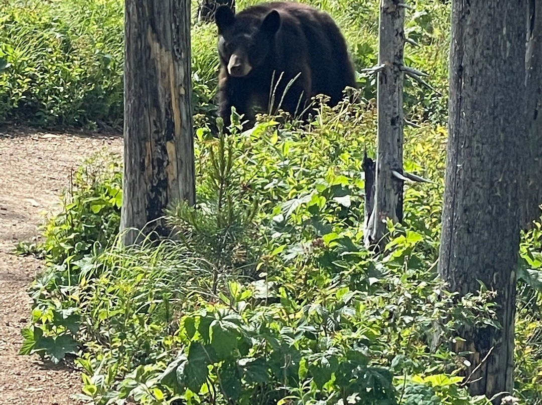 Waterton Lake National Park-沃特顿湖国家公园必去景点