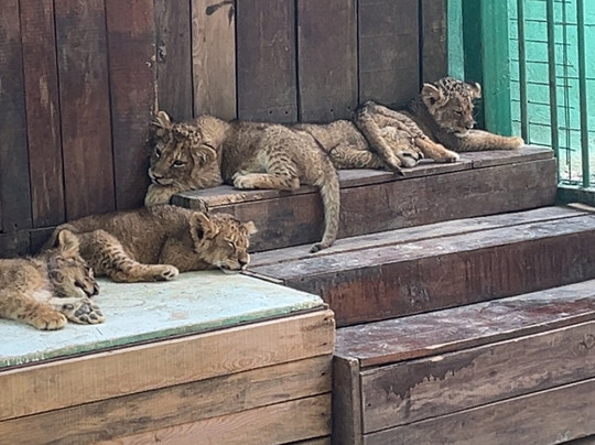 Discovery Park-Ilica必去景点