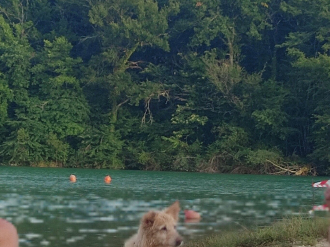 Le Lac de Lupiac-Lupiac必去景点