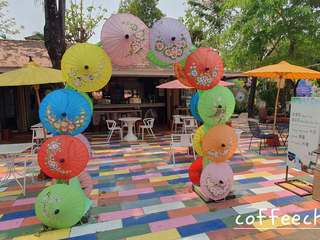 Umbrella Village - Bor Sang景点图片