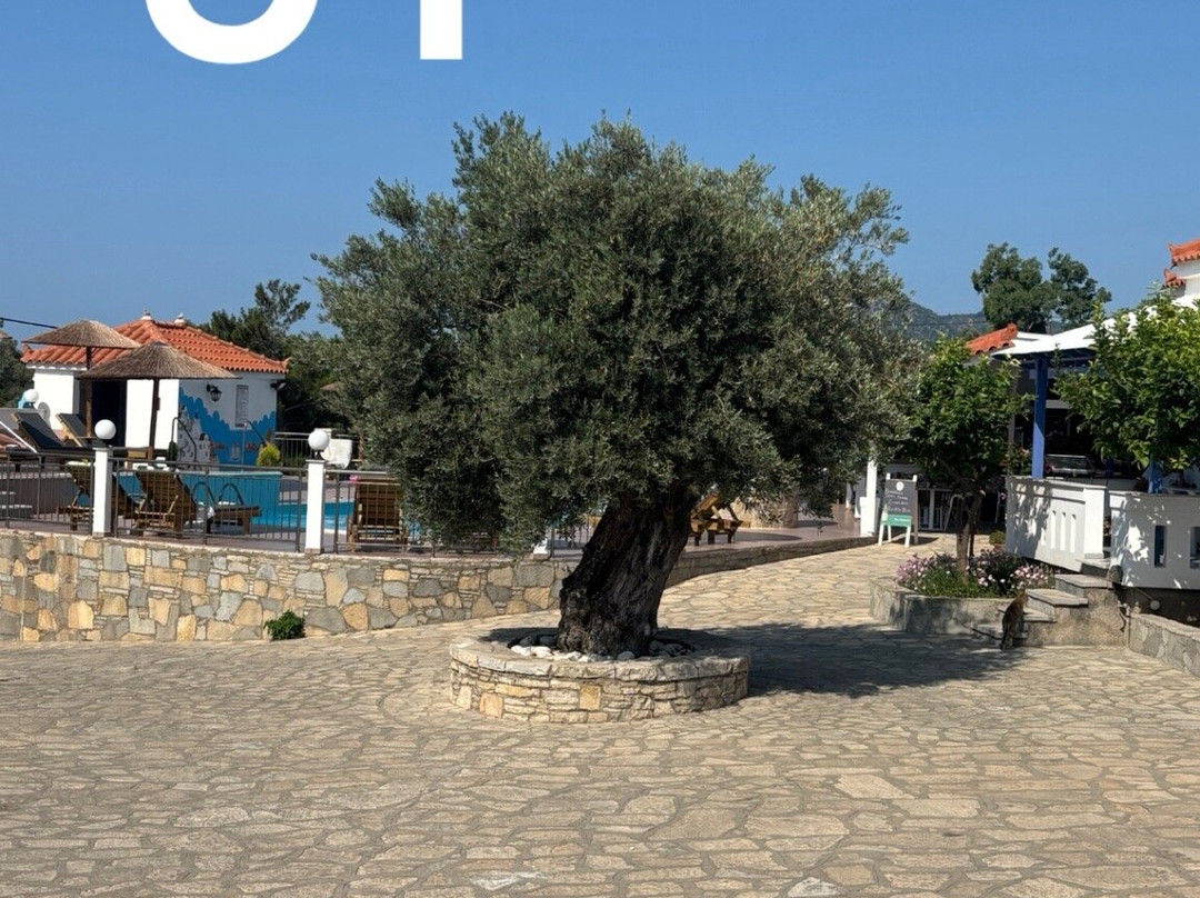 Aspres Apartments主图