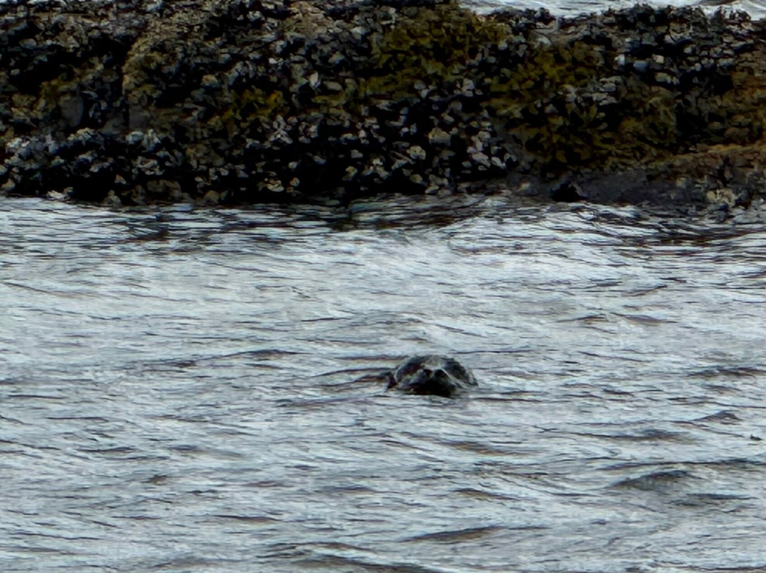 Alaska Vistas-Wrangell必去景点