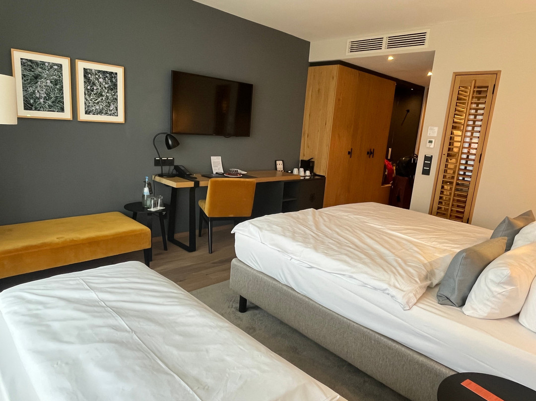 AMERON Neuschwanstein Alpsee Resort & Spa主图
