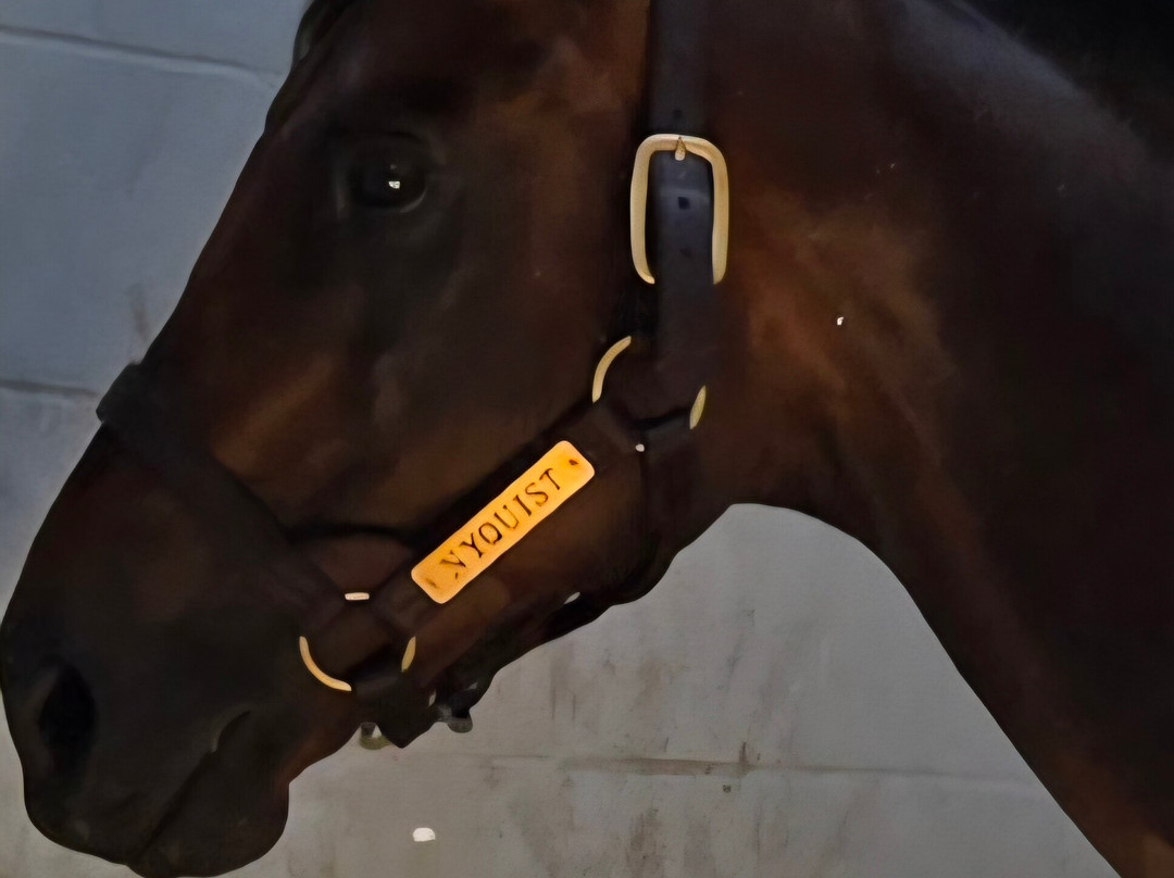 Godolphin-列克星敦必去景点