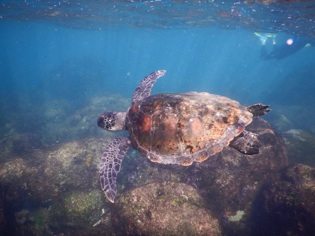 Watersports Guru-Kingscliff必去景点