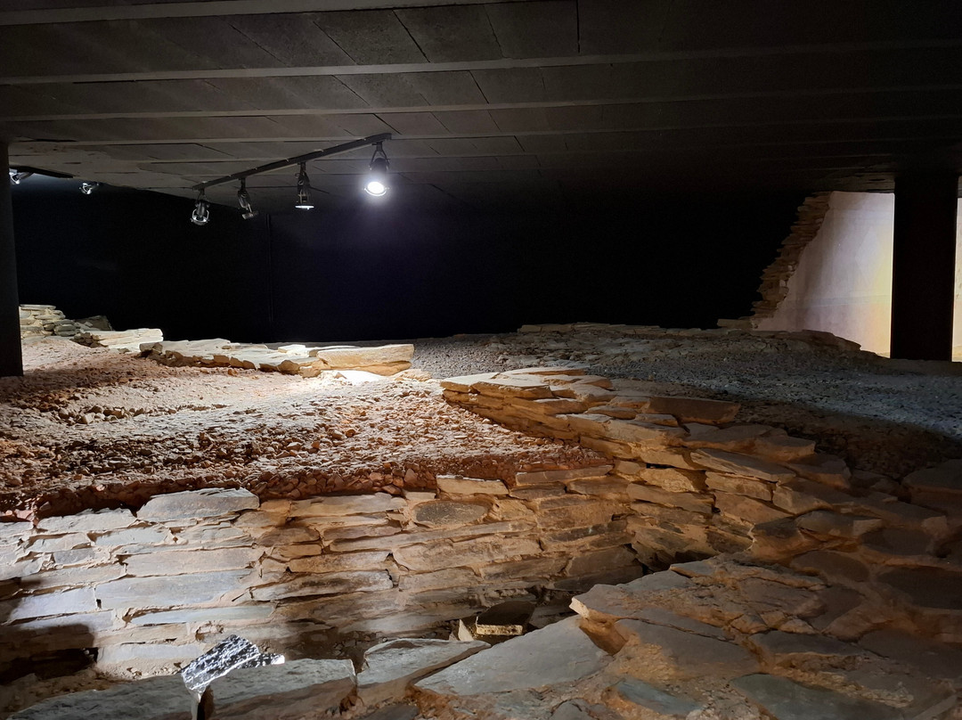 House of Mosaics-卢戈省必去景点