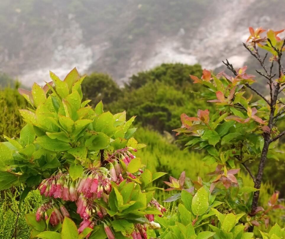 Furnas do Enxofre-Porto Judeu必去景点