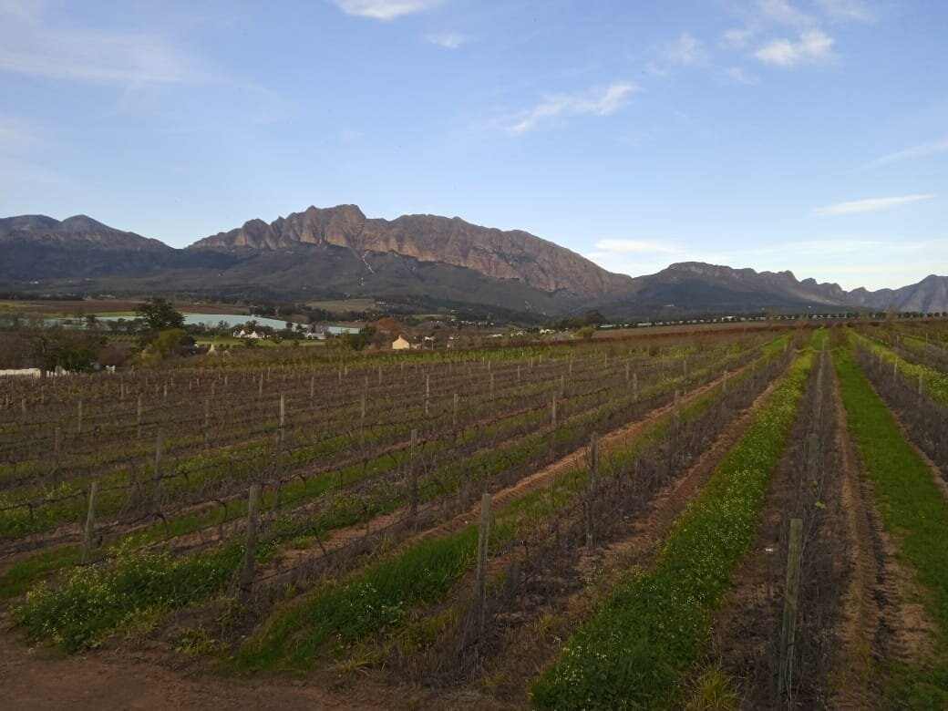 Wellington Country House主图