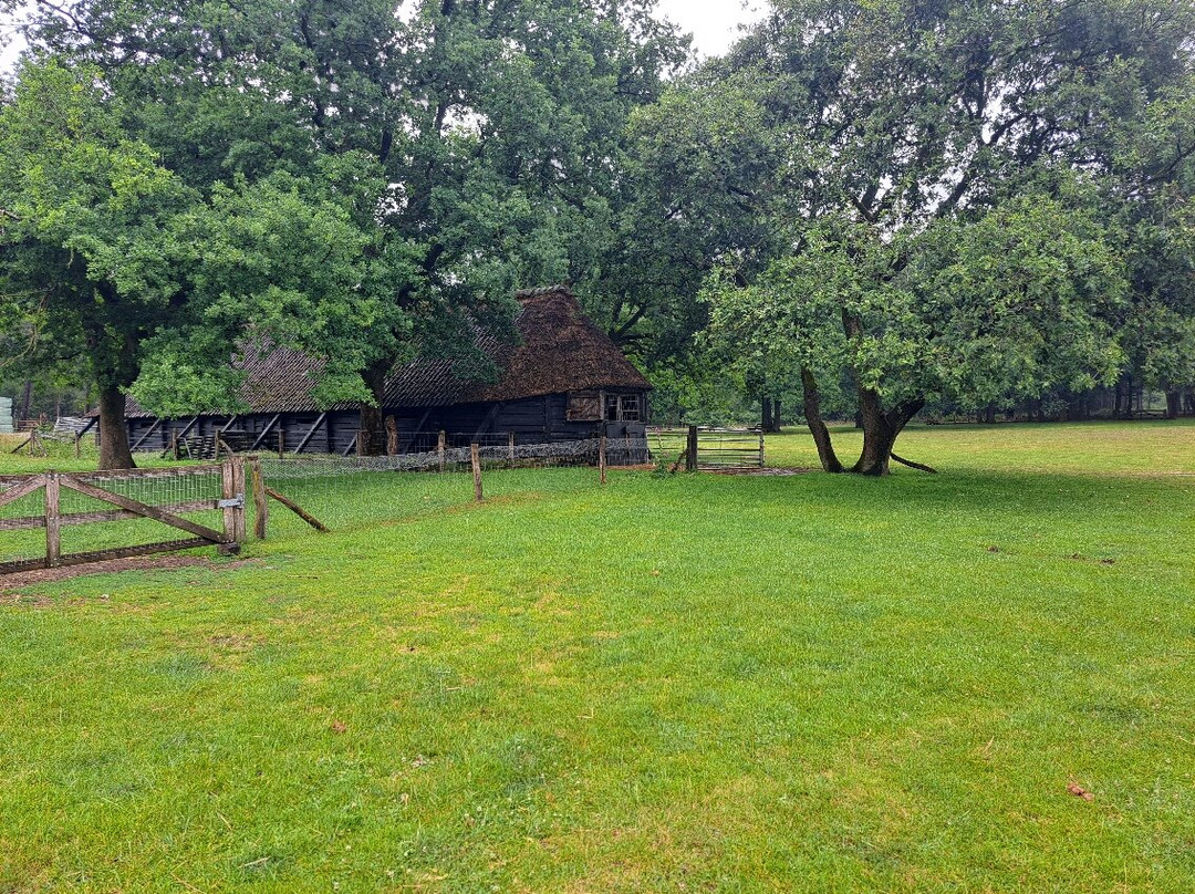 B&B de Loenense Bossen