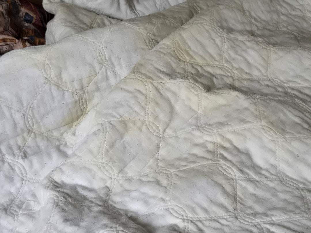 The Lionstone Inn主图