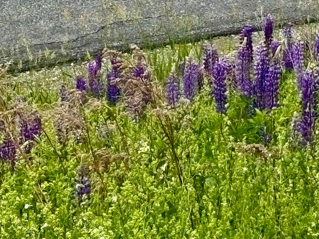 Attean Overlook-Jackman必去景点