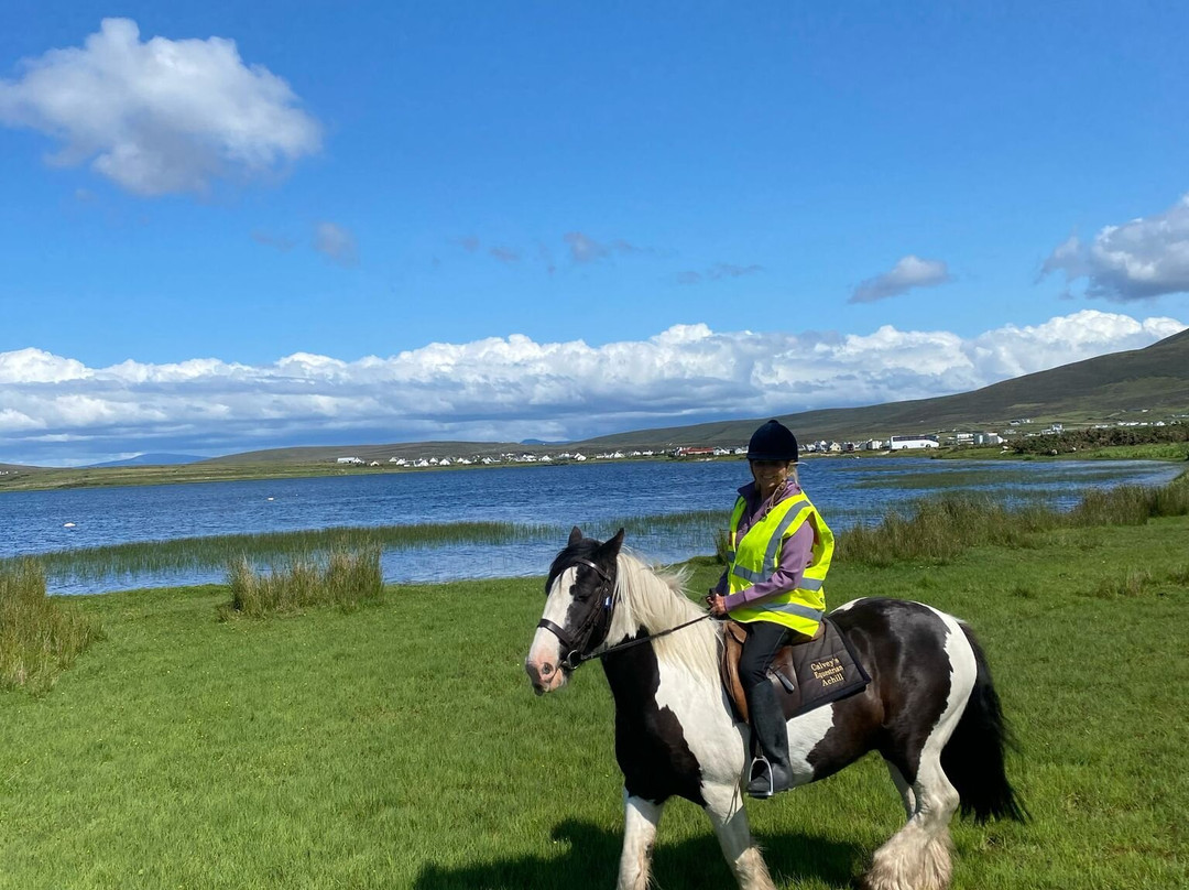 Calveys Equestrian Centre-Achill Island必去景点