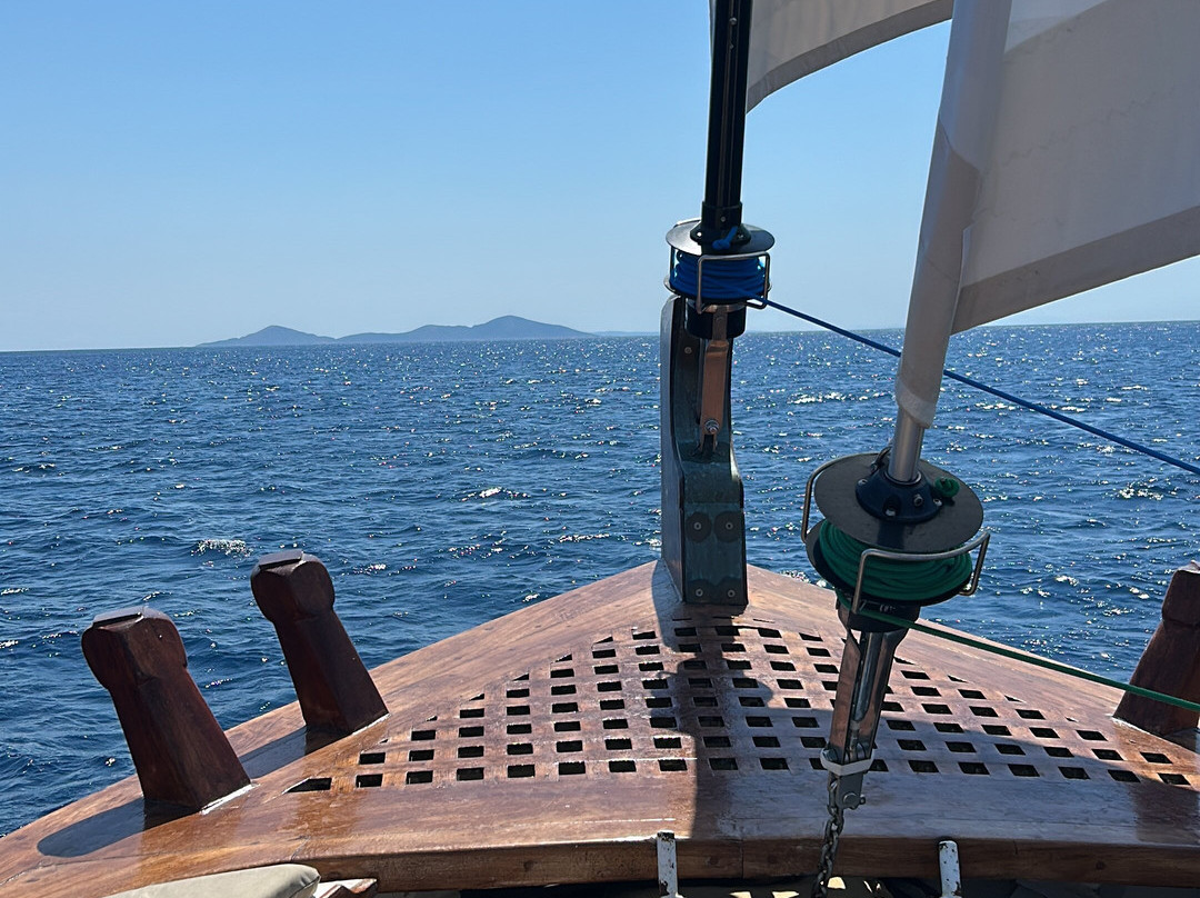 Ena Boat Tours by Mythical Adventures-斯科派洛斯必去景点