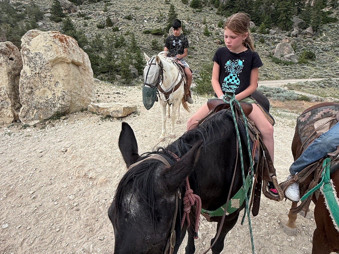 Cedar Mountain Trail Rides-科迪必去景点