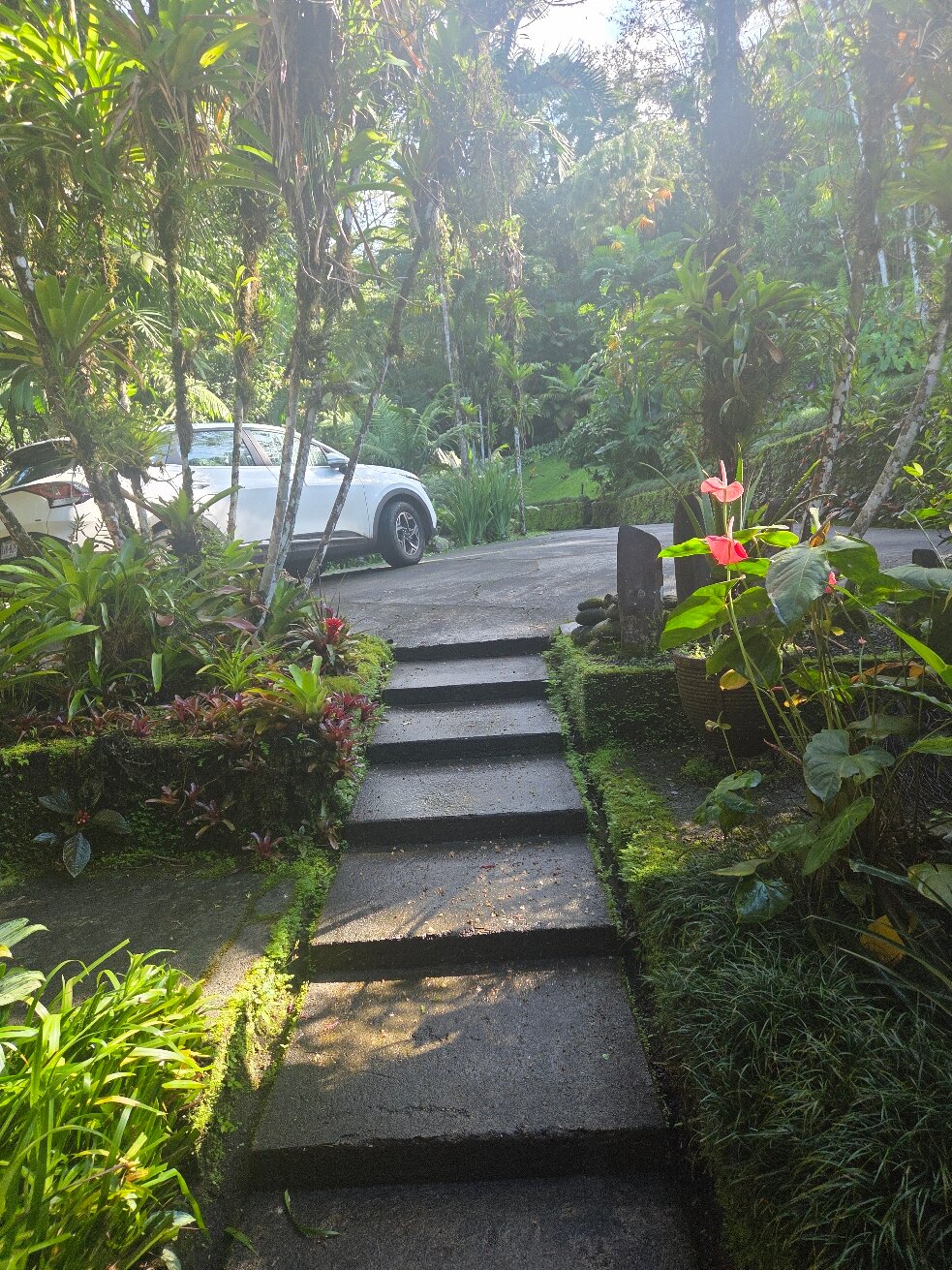 Villa Decary-官方