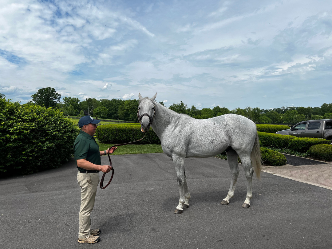 Airdrie Stud-Midway必去景点