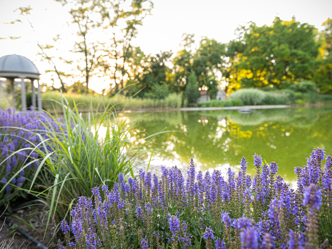 Scharioth Birtok-Nagyrede必去景点