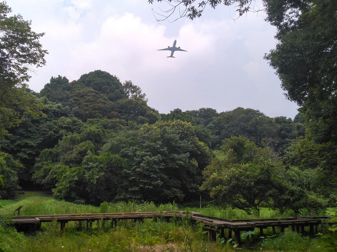 Green Port Eco- Agri Park