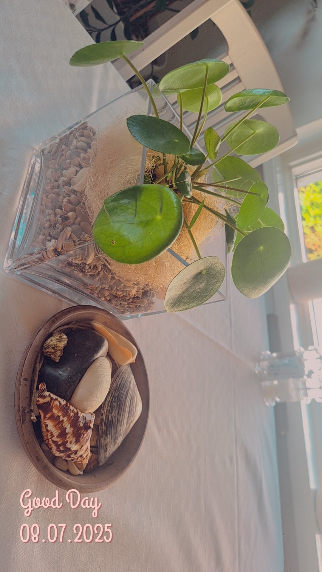 波特酒店-官方
