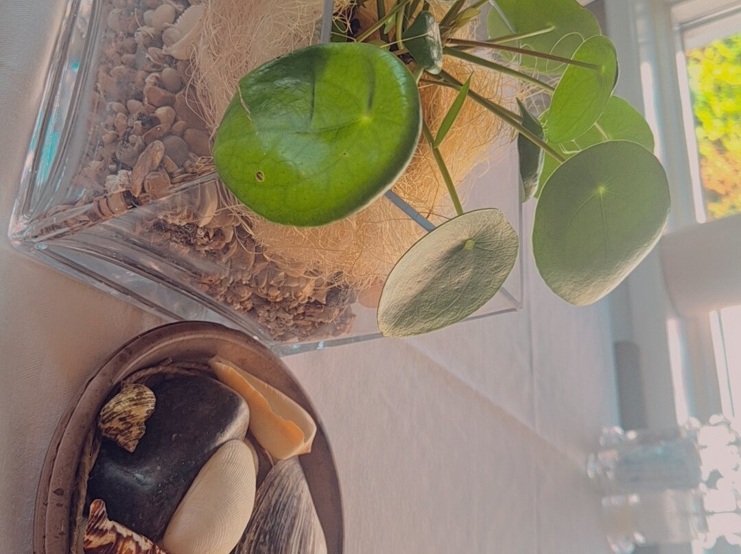 波特酒店主图