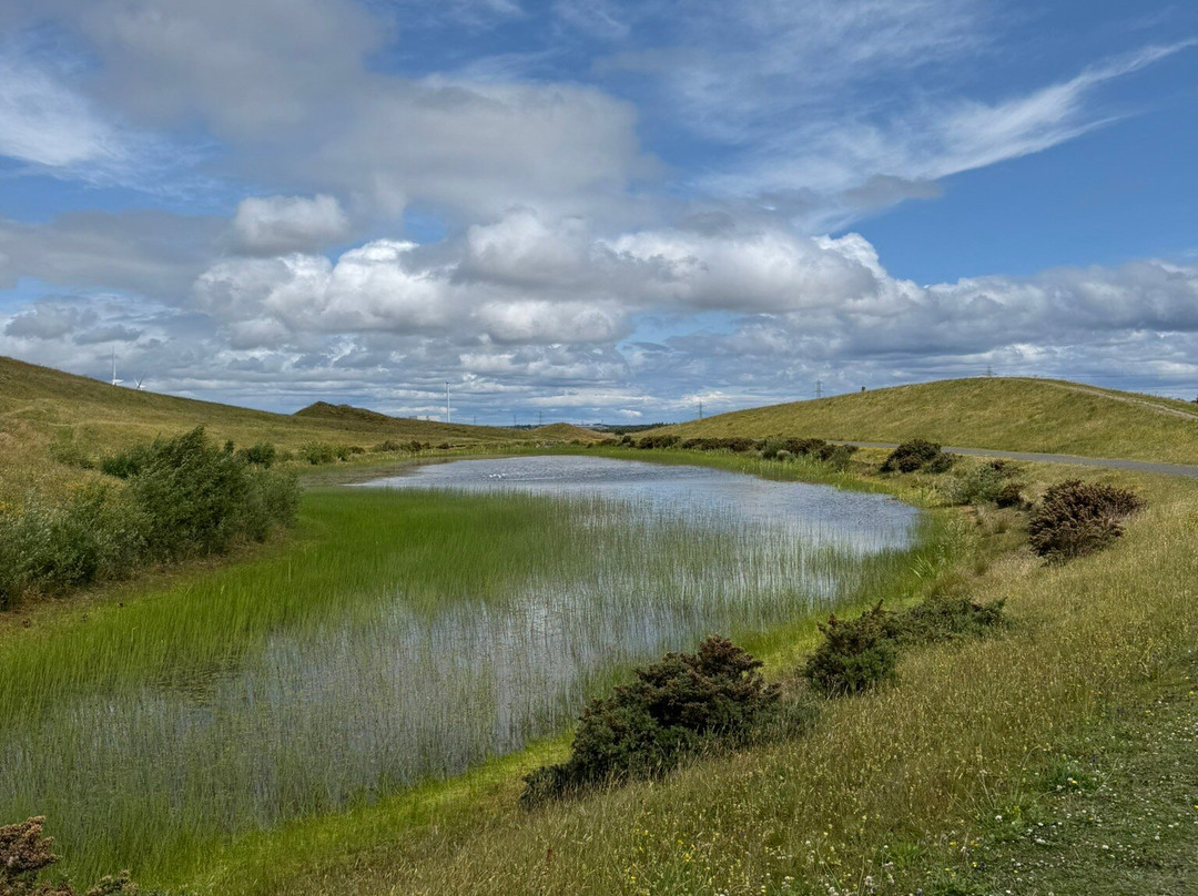 Northumberlandia-Cramlington必去景点