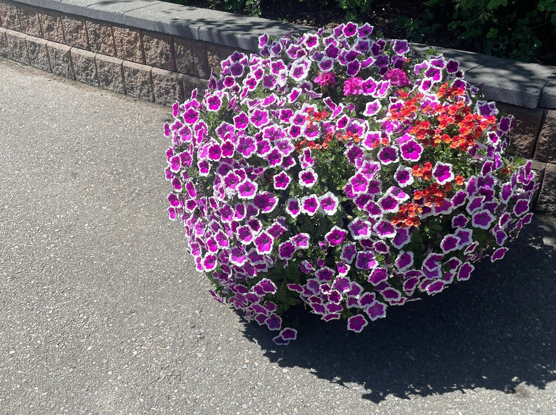 卡勒威游乐园-卡尔加里必去景点