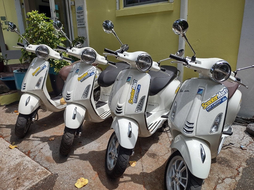 Elbow Beach Cycles-佩吉特教区必去景点